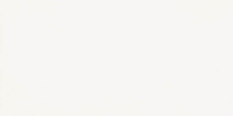 HARMONY BIANCO 300x600