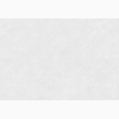 Керамическая плитка Ассам 7 400х275