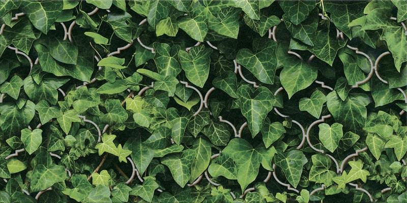 Декор стекл. 300X600X80 Dream Inserto 300x600