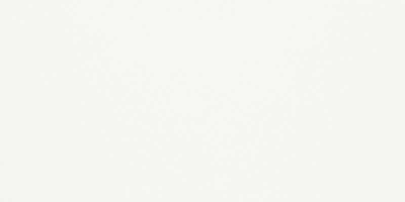 SYNERGY BIANCO 300x600