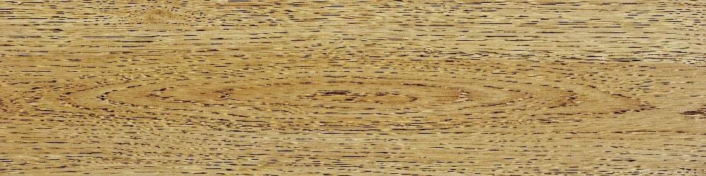 Дуб бежевый