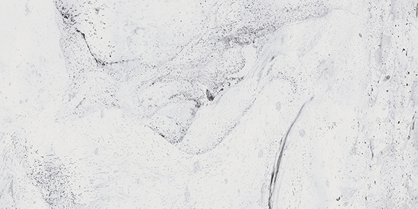 Керамогранит Gracia Ceramica Inverno 600х1200 Premium white PG 01