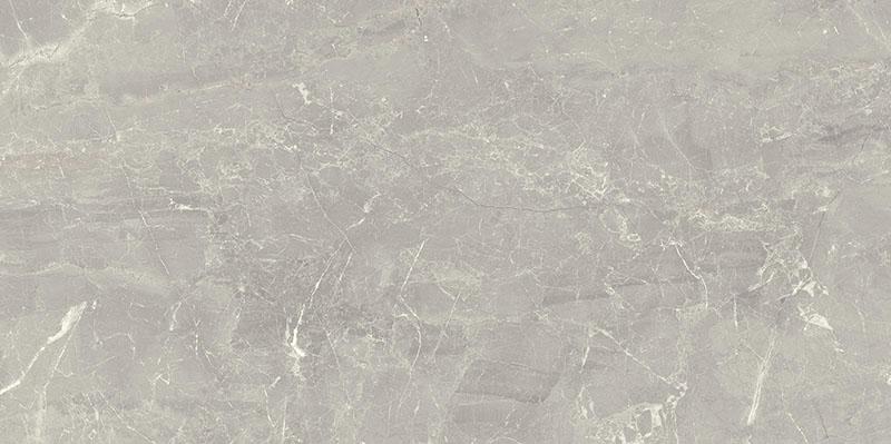 AFTERNOON GRYS  REKT.  298X598