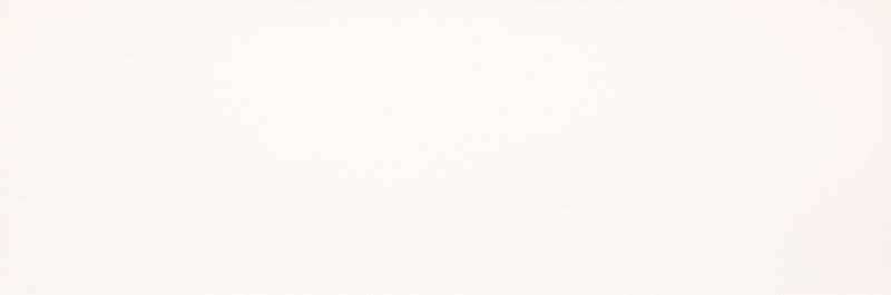 ELEGANT SURFACE BIANCO REKT. 298x898