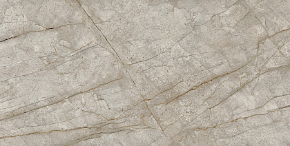 Empire Silver Root 80x160 Lappato