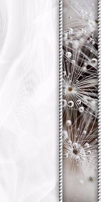 Джерси фриз