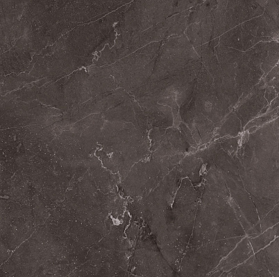 Vitrum Dark Grey High glossy 600x600x80,5