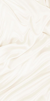 Камелия стена светло-бежевая