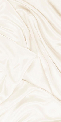 Камелия стена светло-бежевая