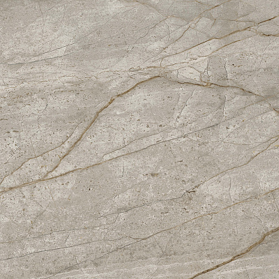 Empire Silver Root 60x60 Lappato