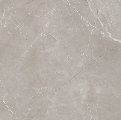 Vitrum Grigio Polished рект. 600x600x82,5