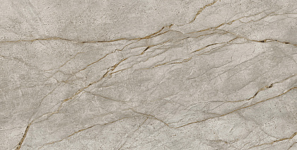 Empire Silver Root 120x60 Lappato