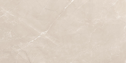 Vitrum Taupe Polished рект. 600x1200x90
