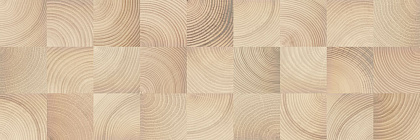 Шиен 3Д 750*250