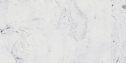 Керамогранит Gracia Ceramica Inverno 600х1200 Premium white PG 01