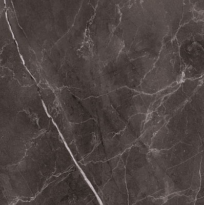 Vitrum Dark Grey High glossy 600x600x80,5