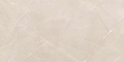 Vitrum Taupe Polished рект. 600x1200x90