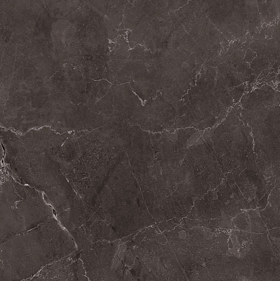 Vitrum Dark Grey High glossy 600x600x80,5