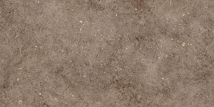 Керамическая плитка Болонья 4 600x300