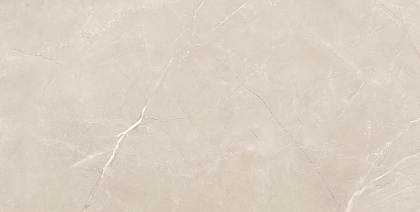 Vitrum Taupe Polished рект. 600x1200x90