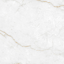 Torso Gold Polished рект. 600x600x85