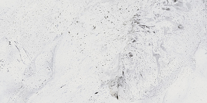 Керамогранит Gracia Ceramica Inverno 600х1200 Premium white PG 01