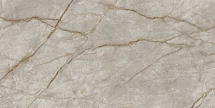 Empire Silver Root 120x60 Lappato