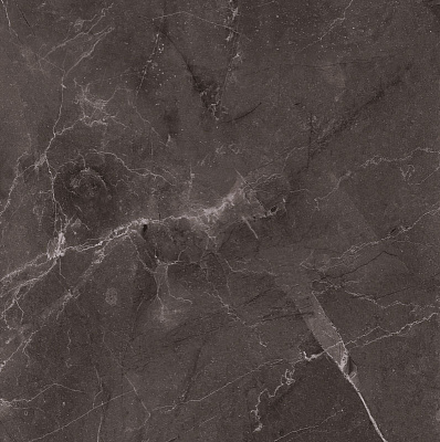 Vitrum Dark Grey High glossy 600x600x80,5