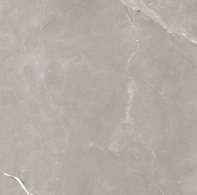 Vitrum Grigio Polished рект. 600x600x82,5