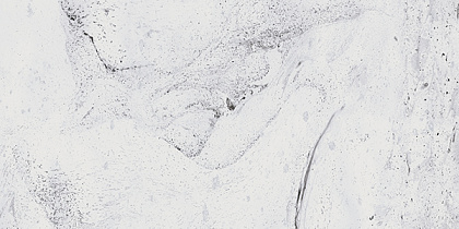 Керамогранит Gracia Ceramica Inverno 600х1200 Premium white PG 01