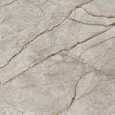 Empire Silver Root 60x60