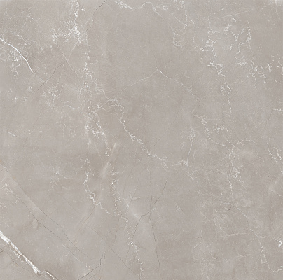 Vitrum Grigio Polished рект. 600x600x82,5