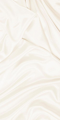 Камелия стена светло-бежевая