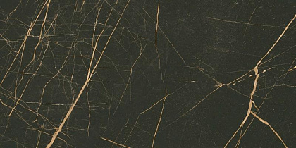 FANCY BLACK  300x600