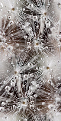 Джерси декор