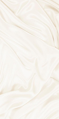 Камелия стена светло-бежевая